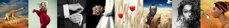 PicProofs